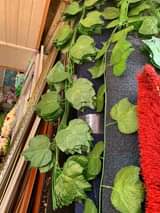 A picture of Artificial Plants and Flowers