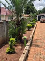 rooms to rent harare