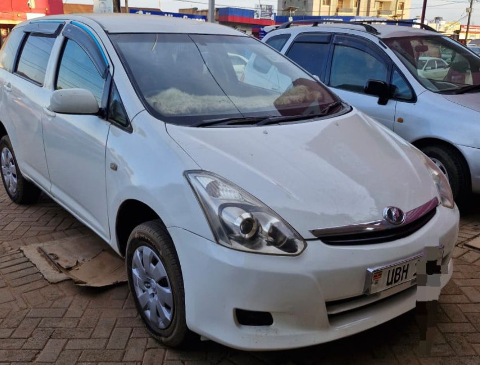 A picture of Wish 2007 Model 1 8cc