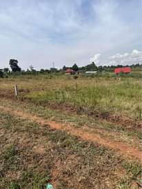 A picture of 50 100ft at Busiika Vumba selling 12 000 000 0704759507