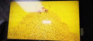 A picture of INAUZWA SAMSUNG INCH 55 SMART 870K 0748380096
