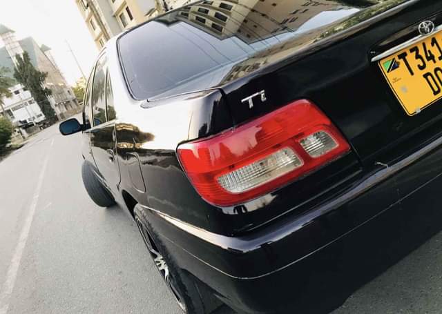 A picture of Carina Ti