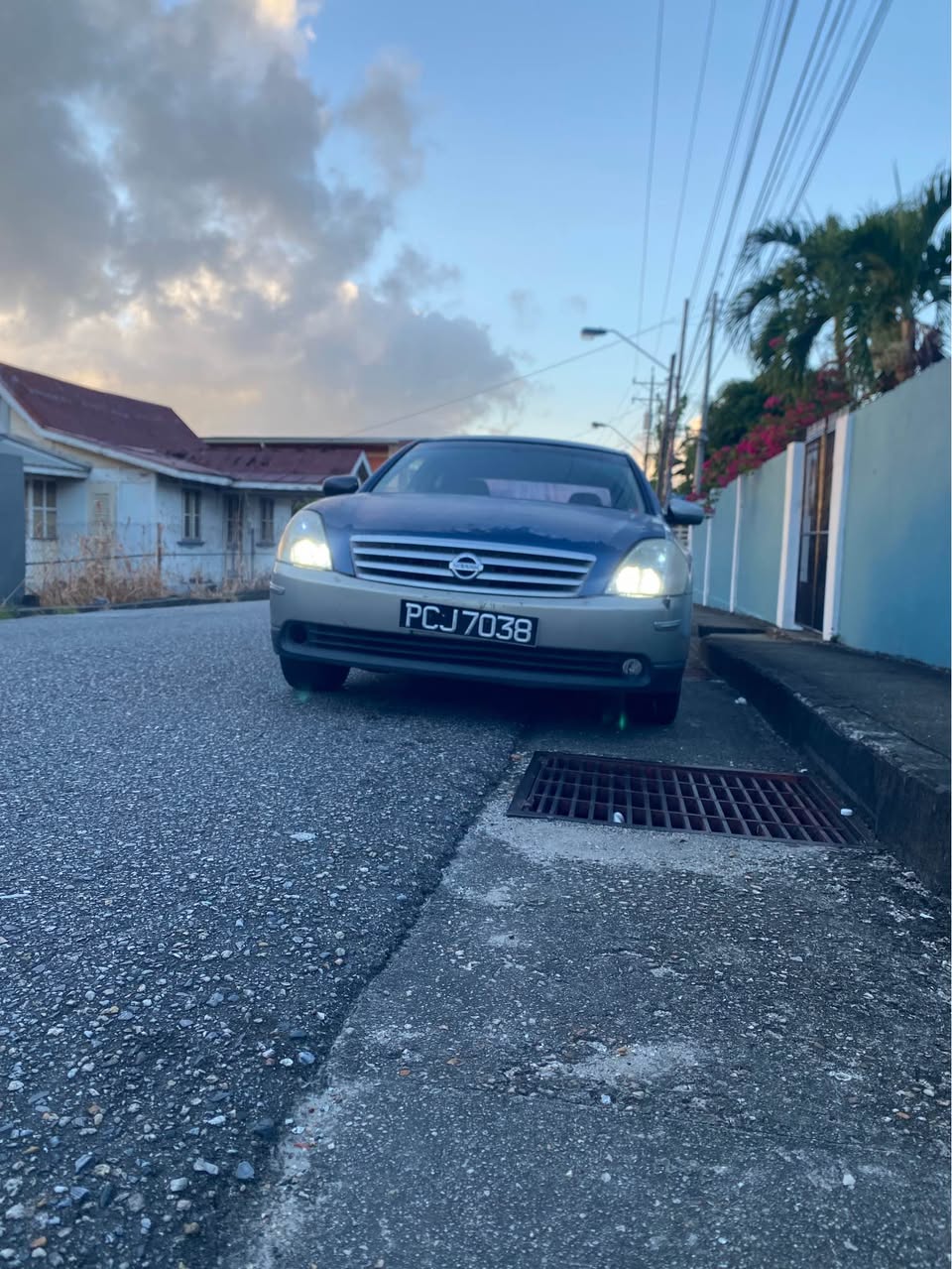 nissan cefiro