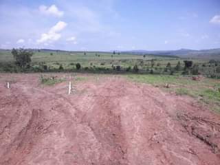 A picture of Plots for sale On Mitiyana Road