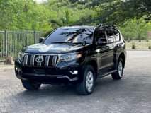 A picture of Prado 150