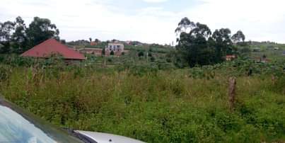A picture of PLOTS On SALE AT WAKISO MABOMBWE BRAND NEW ESTATE