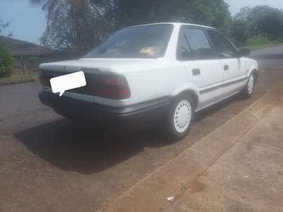 Kzn V.