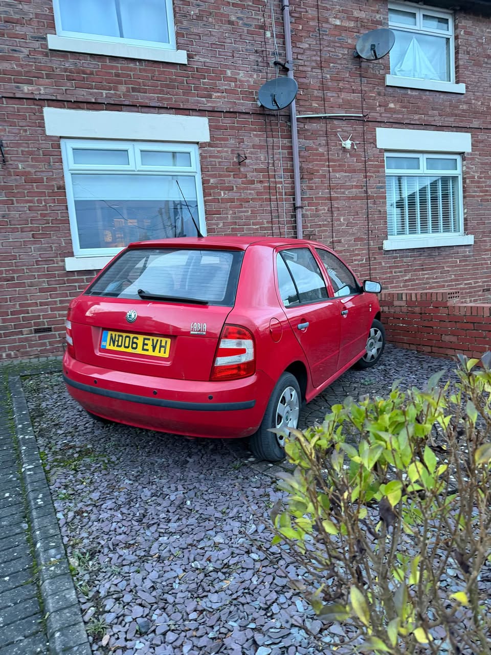 skoda fabia