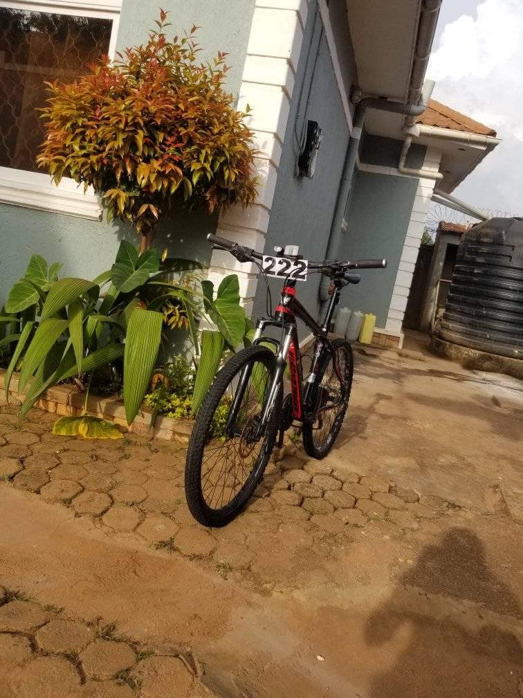 A picture of Appalancia mountain bike