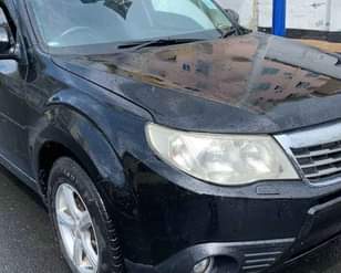 A picture of SUBARU FORESTER
