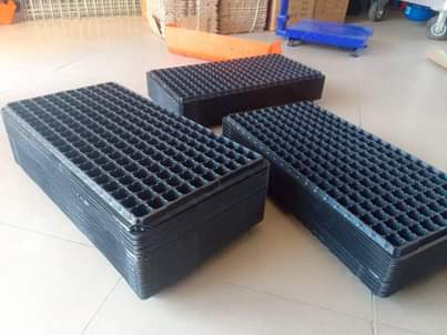 A picture of Seedling trays