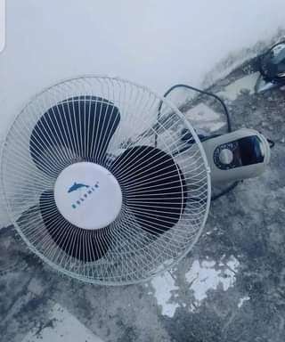 fans