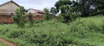 A picture of 50 decimals of land for sale in Kawempe Tula opposite