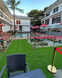 A picture of ARTIFICIAL GRASS CAPETS