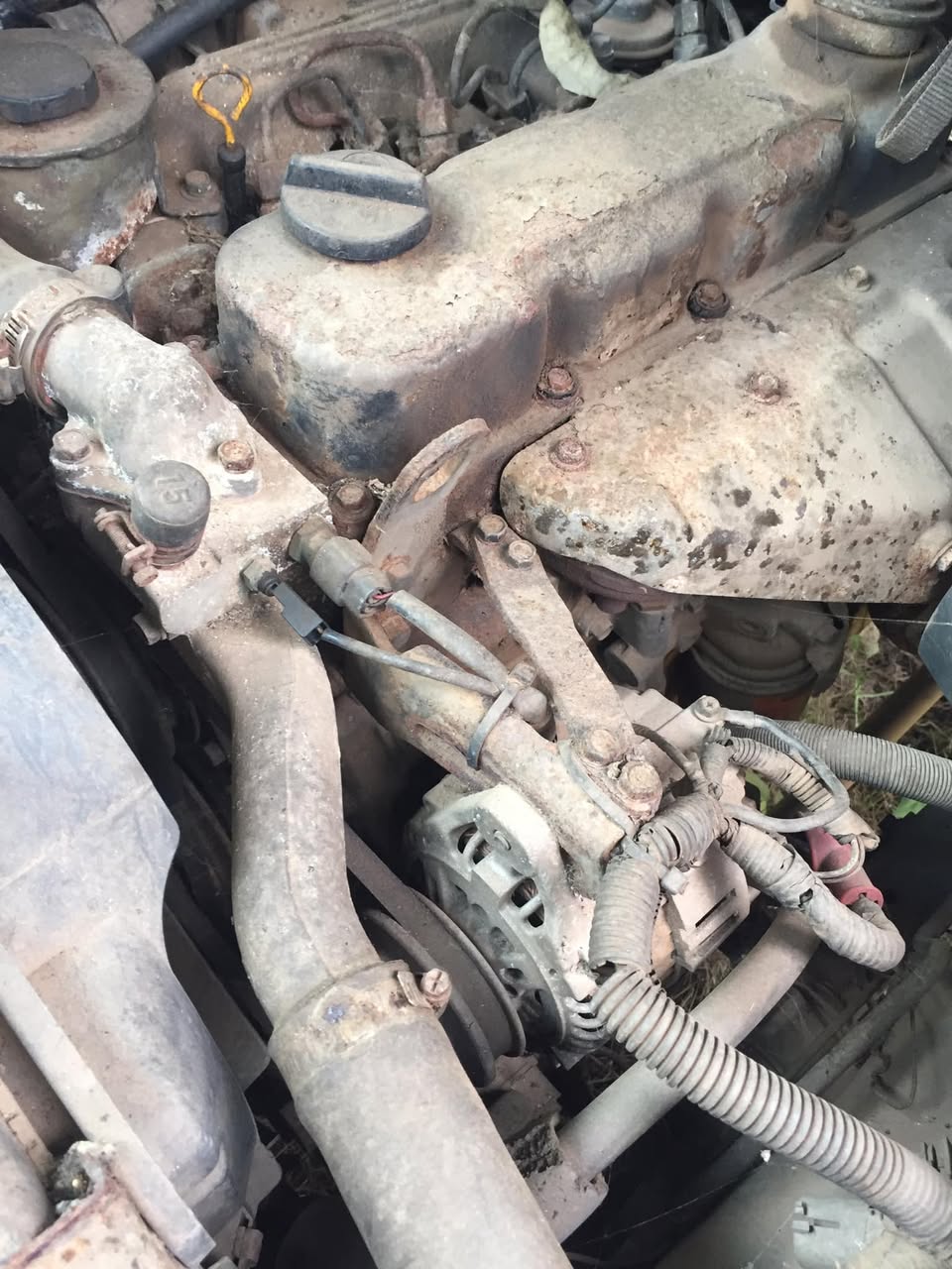 A picture of Nissan cabstar