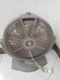 A picture of Feni 0713533662