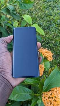 A picture of Samsung Galaxy S9