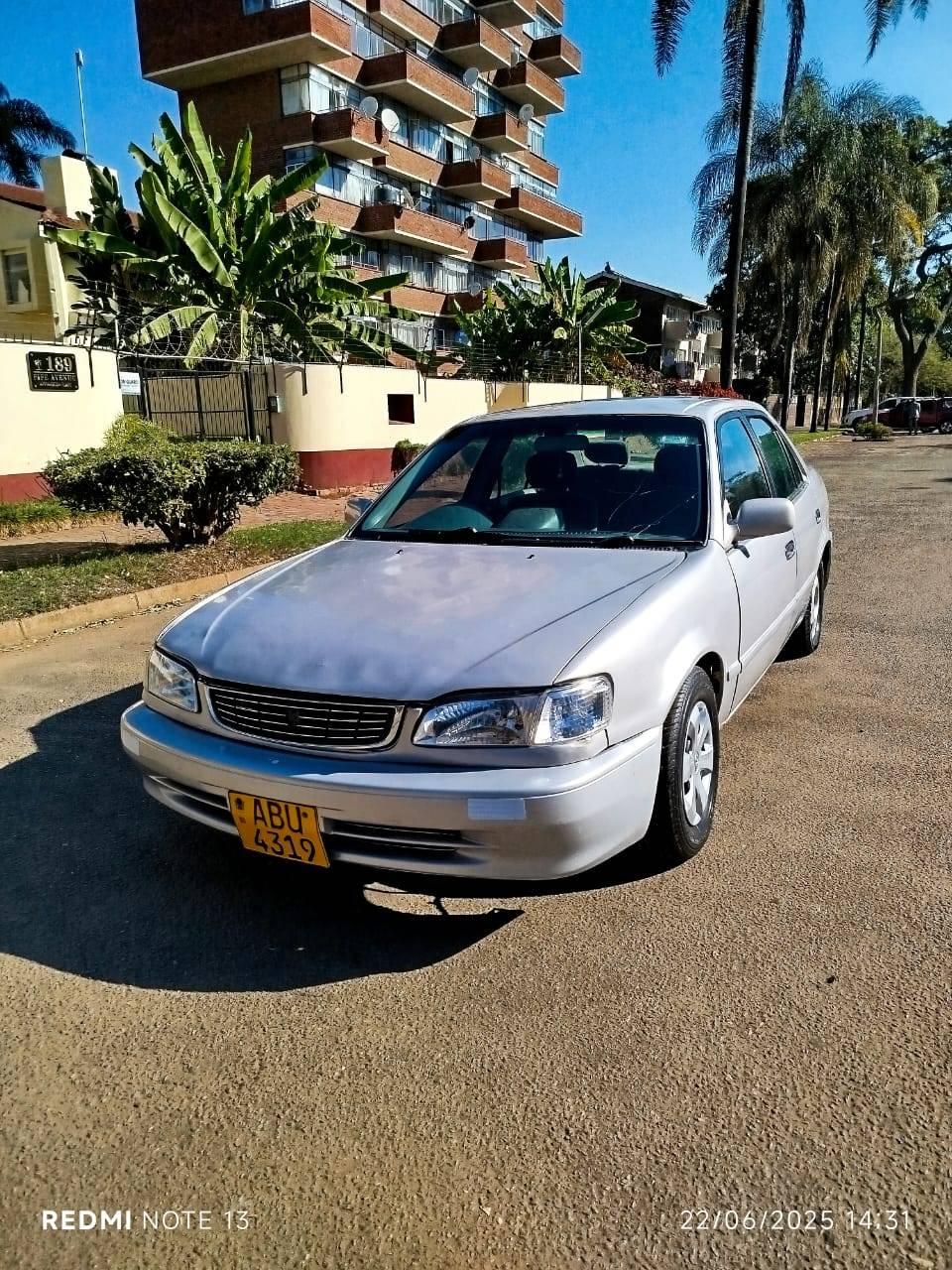 used toyota corolla