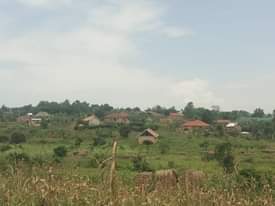 A picture of Quick sale 6.5m 50by60ft located at matugga kavule power and