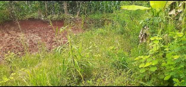 A picture of PLOT FOR SALE