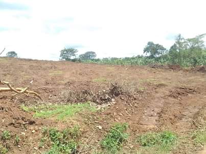 A picture of PLOTS AT OUR ESTATE MABOMBWE