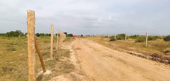 plots mariakani