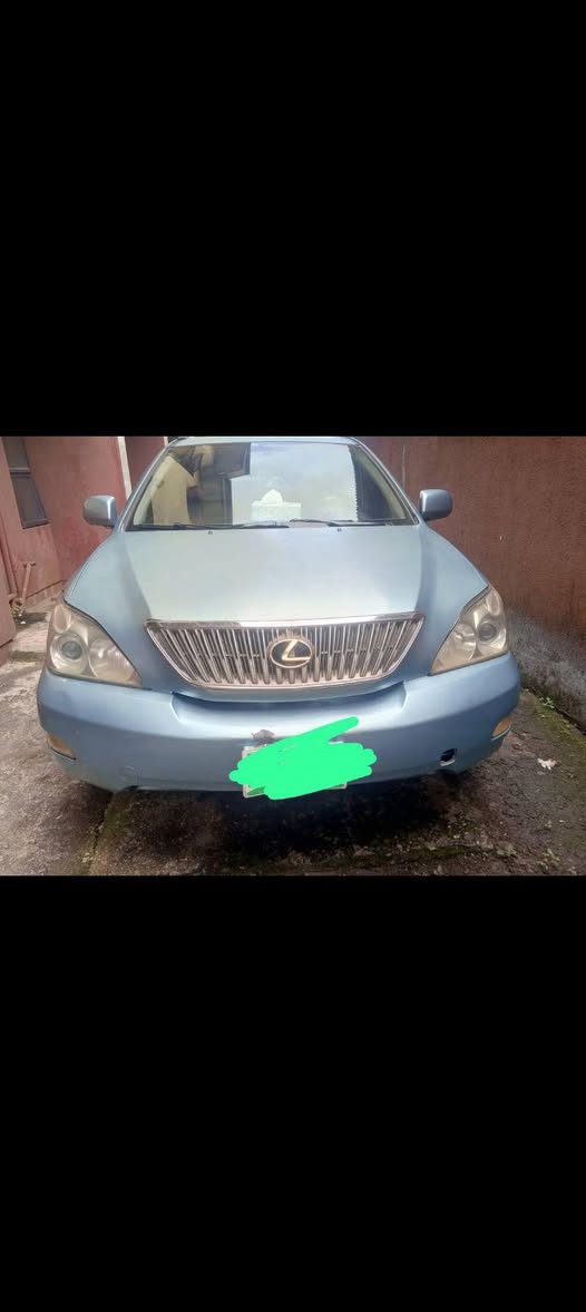 A picture of 2007 Lexus RX 330 2007