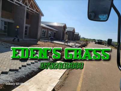 landscaping ssrvices