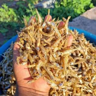 A picture of Dagaa wa mwanza