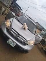 A picture of 2008 Crv