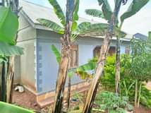 A picture of Matugga town house