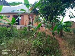 A picture of Deal deal house for sale in on sentema road branch