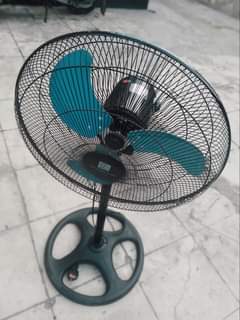fans