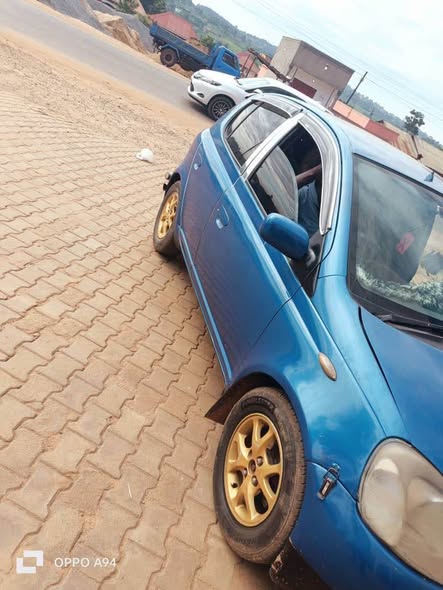 A picture of Vitz