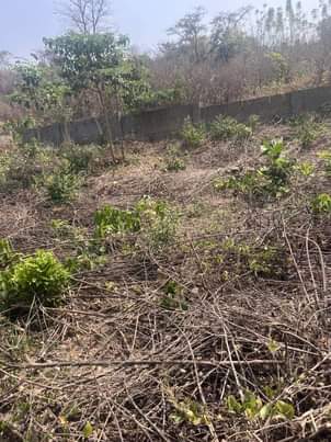 A picture of Land