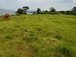A picture of Land Touching Lake Victoria for Sale