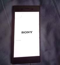 A picture of Sonny X PERIA