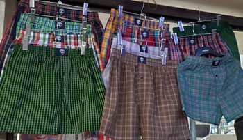 A picture of Boxers