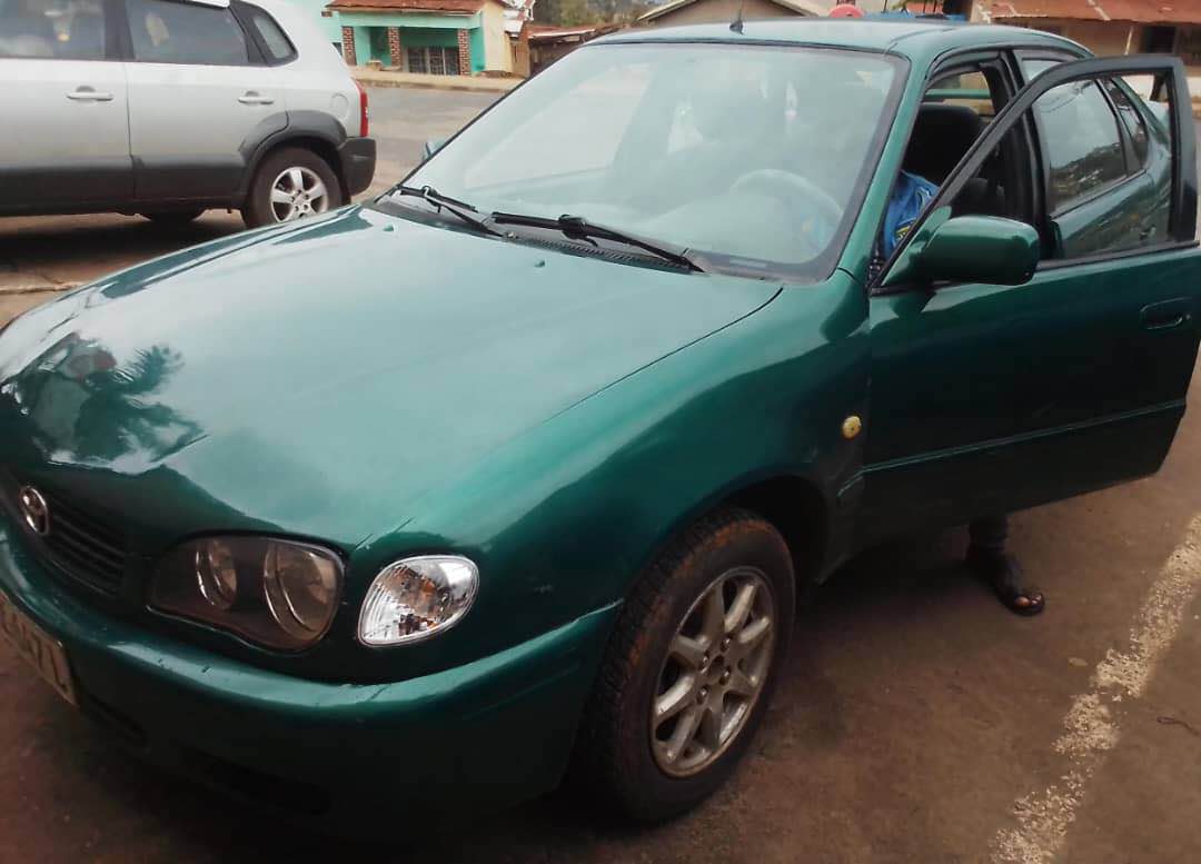 used toyota corolla