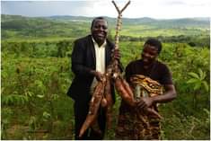 A picture of HABWA INKUNGA M UBUHINZI N UBWOROZI