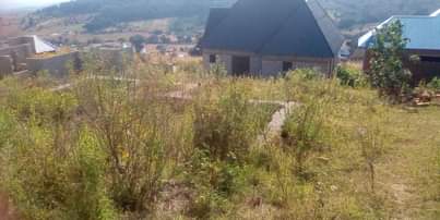 A picture of Kiwanja uyole