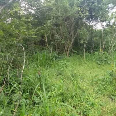 A picture of SHAMBA HEKA 100 LINAUZWA LIPO MZENGA WILAYA YA KISARAWE MKOA
