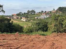A picture of AFFORDABLE AND GENUINE PLOTS FOR SALE IN NAMUSERA WAKISO
