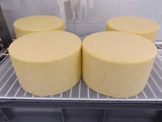A picture of Mozzarella cheese and cheddar cheese