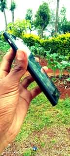 A picture of BlackBerry