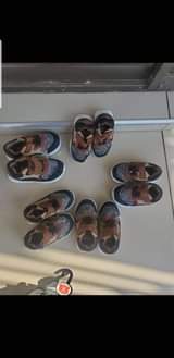 classifieds/shoes