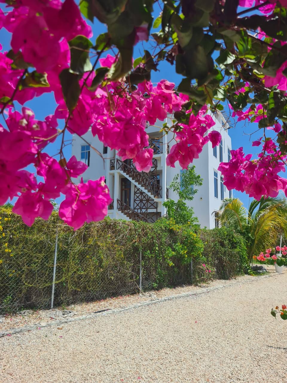 A picture of Sale and rental apartments Zanzibar