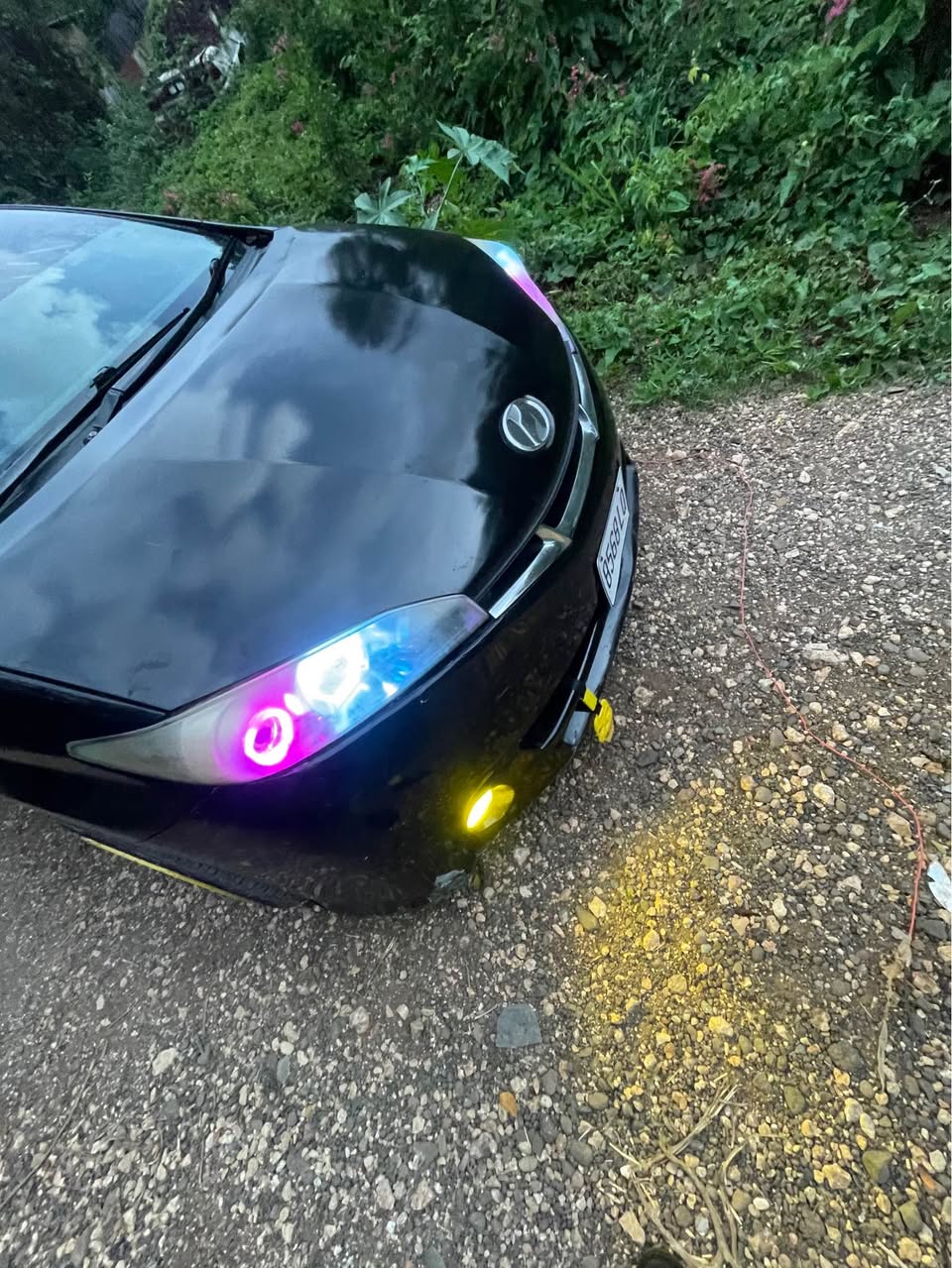 cars