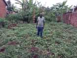 A picture of Quick sale 18 5m Plot located garuga on entebbe rd