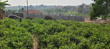A picture of Namugongo shrine 50x100feet plot on quick sale 80million ready title